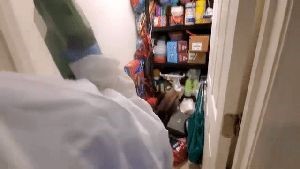 Fogging Services Carson Ca