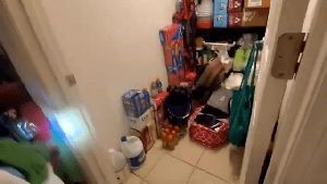 Fogging Services Cudahy Ca