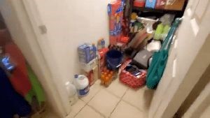 Fogging Services Duarte Ca