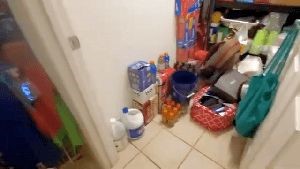 Fogging Services Gardena Ca