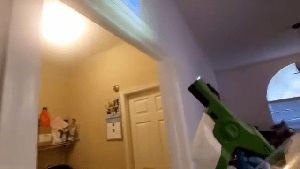 Fogging Services Lomita Ca