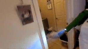 Fogging Services Monrovia Ca