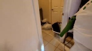 Fogging Services Norwalk Ca