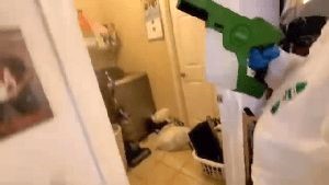 Fogging Services Pasadena Ca