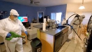 Fogging Services Walnut Ca