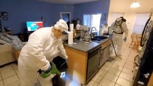 Fogging Services Laguna Woods Ca