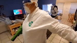 Fogging Services Ontario Ca