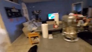 Fogging Services Beaumont Ca