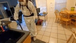 Fogging Services Lake Elsinore Ca