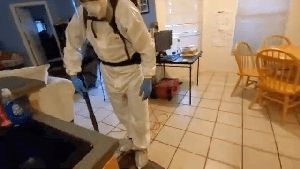 Fogging Services Menifee Ca