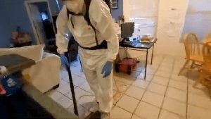 Fogging Services Murrieta Ca