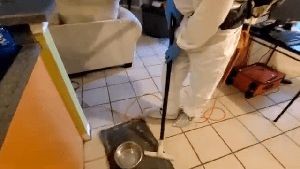 Sanitizing Services Downey Ca