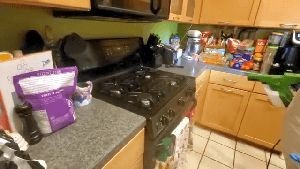 Sanitizing Services Monrovia Ca