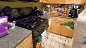 Sanitizing Services Cypress Ca