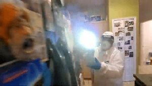 Sanitizing Services Silverado Ca