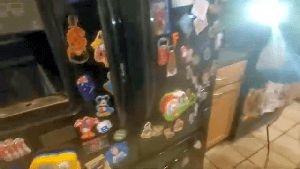 Sanitizing Services Wrightwood Ca