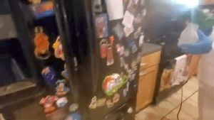 Sanitizing Services Yucaipa Ca