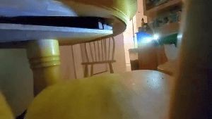 Disinfection Services La Palma Ca