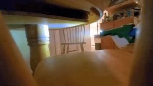 Disinfection Services Banning Ca