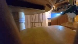 Disinfection Services Calimesa Ca