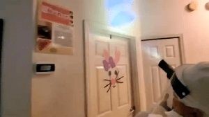 Disinfection Services Whitewater Ca