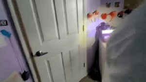 Disinfectant Companies Calabasas Ca