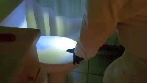 Disinfectant Companies Lomita Ca