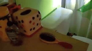 Disinfectant Companies Wrightwood Ca