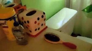 Disinfectant Companies Yucaipa Ca