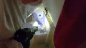 Disinfectant Company Temecula Ca