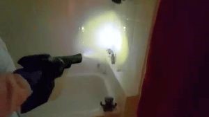 Disinfecting Companies Arcadia Ca