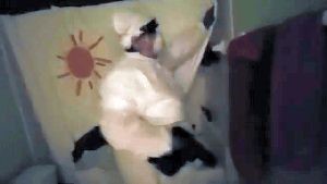 Disinfecting Companies Glendora Ca