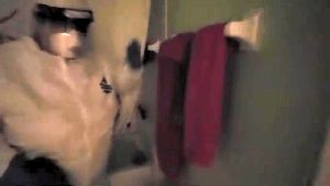 Disinfecting Companies Irwindale Ca