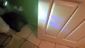 Disinfecting Companies Mentone Ca