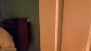 Disinfecting Companies Ontario Ca