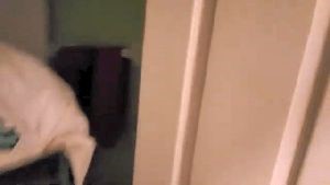 Disinfecting Companies Upland Ca