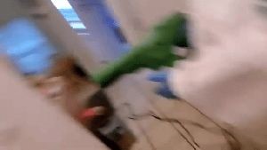 Disinfecting Companies Riverside Ca