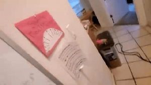 Disinfecting Companies Winchester Ca