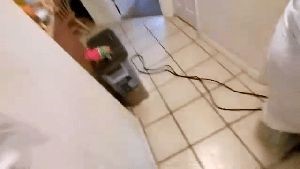 Disinfecting Company Arcadia Ca