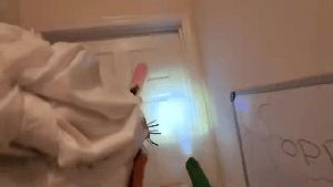 Disinfecting Company Glendale Ca