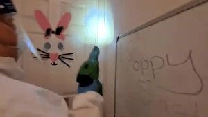 Disinfecting Company La Verne Ca