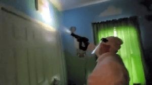 Disinfecting Company Wrightwood Ca