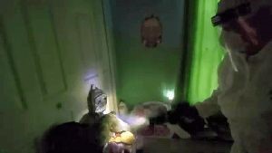 Disinfection Companies Bellflower Ca