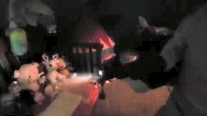 Disinfection Company Commerce Ca