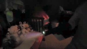 Disinfection Company Compton Ca