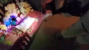 Disinfection Company Hawthorne Ca