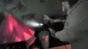 Disinfection Company Anaheim Ca