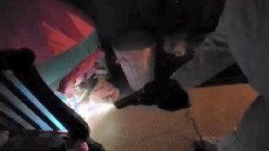 Disinfection Company Bloomington Ca