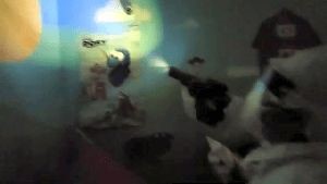 Disinfection Company Mt Baldy Ca