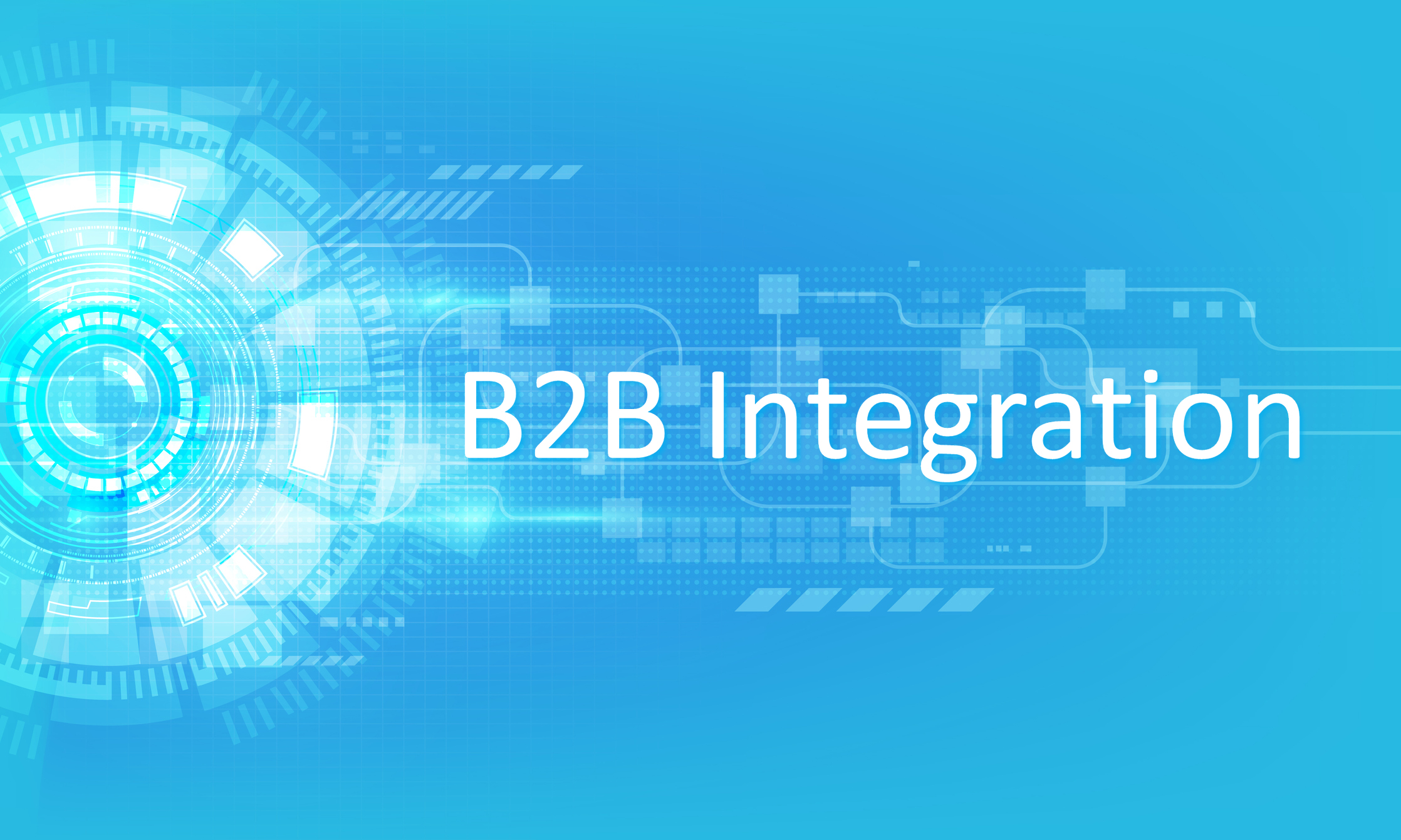 B2B Integration Technology Business-to-business (B2B) integration technologies are increasingly in demand